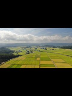 [x]日本一広い平野はどこ？ トップ3とあわせて 日本の地形の特徴もおさえよう【親子で学ぶ日本地理】 | HugKum（はぐくむ）