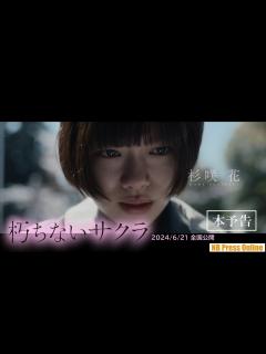 [x]杉咲花 主演映画『朽ちないサクラ』 - YouTube