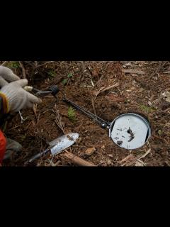 [x]『くくり罠猟』を実践！獣道の見方、くくり罠の仕掛け方、注意点などを初心者向けに解説 | 新狩猟世界