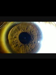 [x]【ちょっと閲覧注意】投稿者の目を超どアップで撮影してみた - ニコニコ動画