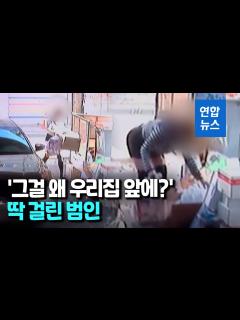 [x]차에 싣고온 쓰레기 무단투기…"과태료 50만원" / 연합뉴스 (Yonhapnews) - YouTube