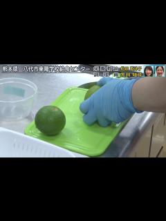 [x]実況中継 - YouTube