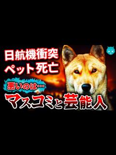 [x]【日航機事故】騙されるな！ペットの機内置き去りが絶対に正しい理由【論争】 - YouTube