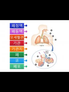 [x][호흡기 : 호흡곤란] - YouTube