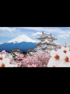 [x]Japan Tipps: Der ultimative Guide für Eure Reise - Urlaubstracker.de