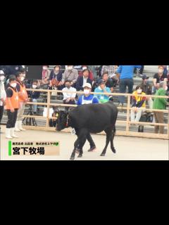 [x]がんばる！畜産！6 第12回全国和牛能力共進会（前編） 30分 - YouTube