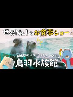 [x]【鳥羽水族館vlog】鳥羽水族館のメイちゃん&キラちゃんお食事ショータイム🦦隠れラッコスポットやぼのぼのコラボも紹介♪【世界のラッコ紀行③ ...