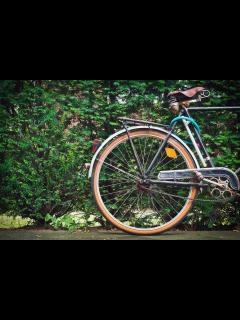 [x]Kostenlose foto : Jahrgang, Rad, alt, Fahrrad, städtisch, Rost, Grün ...