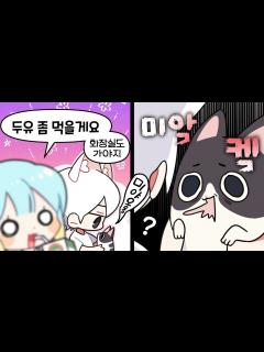 [x]『견자희』찐고양이 대 고양이의 만남 - YouTube