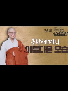[x]극락세계의 믿을 수 없이 아름다운 모습 - [광우스님의 극락왕생 정토삼부경 36회] - YouTube