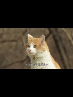 [x]1년만에 그녀석이 돌아왔다....그런데 상태가 이상하다 - YouTube