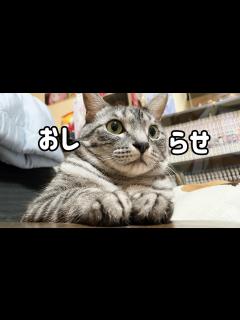 [x]皆様へお知らせがあります。※心当たりがある方は是非ご覧下さい - YouTube