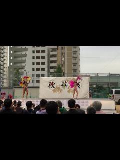 [x]秋華祭(神戸市中央区）サンバ Escola De Samba KOBECCO ① - YouTube