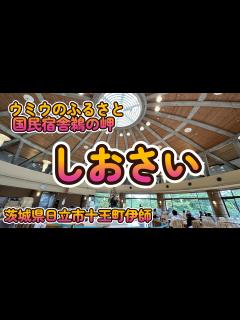 [x]ウミウのふるさと 国民宿舎鵜の岬「しおさい」茨城県日立市十王町伊師 4K - YouTube
