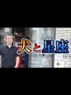 [x]犬の性格と星座の関係 #内海聡 #悪阻 【世界一嫌われ医者】 - YouTube