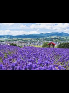 [x]北海道｜夏の観光スポット9選！家族連れやカップルにもオススメな絶景や名所を紹介 | Klookブログ