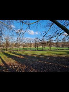 [x]How Hillsborough Park looks now, four months after Tramlines