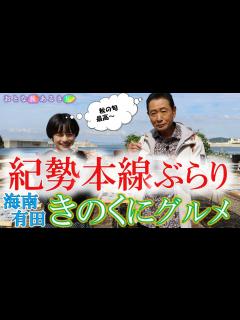 [x]紀勢本線「きのくに秋の旬」全部いただきます！＃おとな旅あるき旅 #traveljapan #三田村邦彦＃斉藤雪乃 #しらす #戻り鰹＃太刀魚 ...