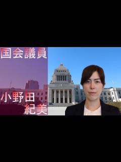 [x][国会議員] 小野田 紀美 解説 - YouTube
