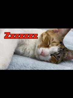 [x]久しぶりに3人でのんびり過ごしました - YouTube